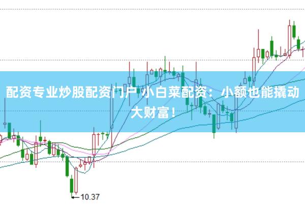 配资专业炒股配资门户 小白菜配资：小额也能撬动大财富！