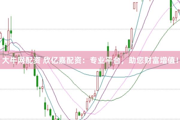 大牛网配资 欣亿嘉配资：专业平台，助您财富增值！