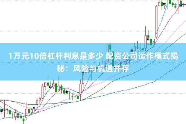 1万元10倍杠杆利息是多少 配资公司运作模式揭秘：风险与机遇并存
