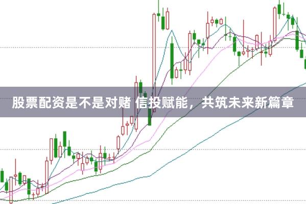 股票配资是不是对赌 信投赋能，共筑未来新篇章