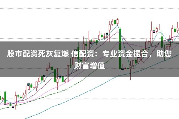 股市配资死灰复燃 信配资：专业资金撮合，助您财富增值