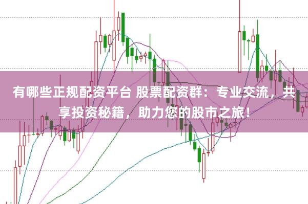 有哪些正规配资平台 股票配资群：专业交流，共享投资秘籍，助力您的股市之旅！